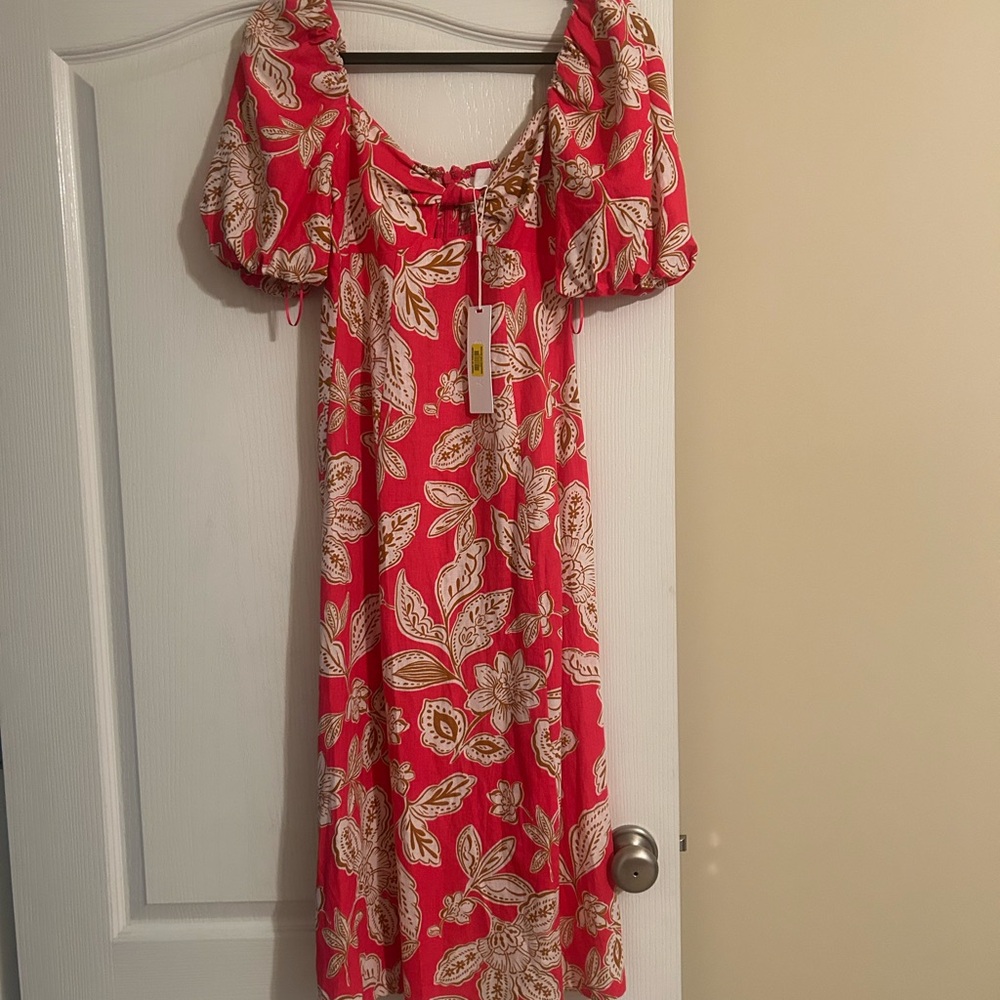 Everly dress : new with tags : size x small